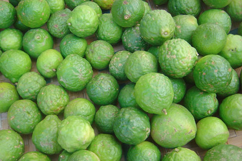 Combawa de Madagascar Combawa de Madagascar