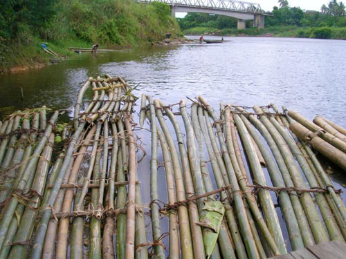 Madagascar sugar