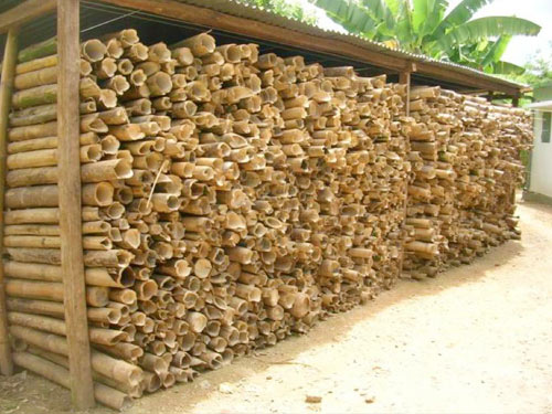 Madagascar sugar