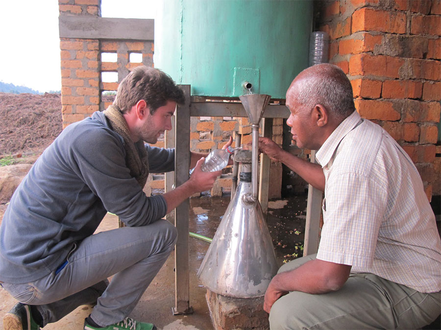 Geranium Essential Oils from Madagascar  | Jacarandas International