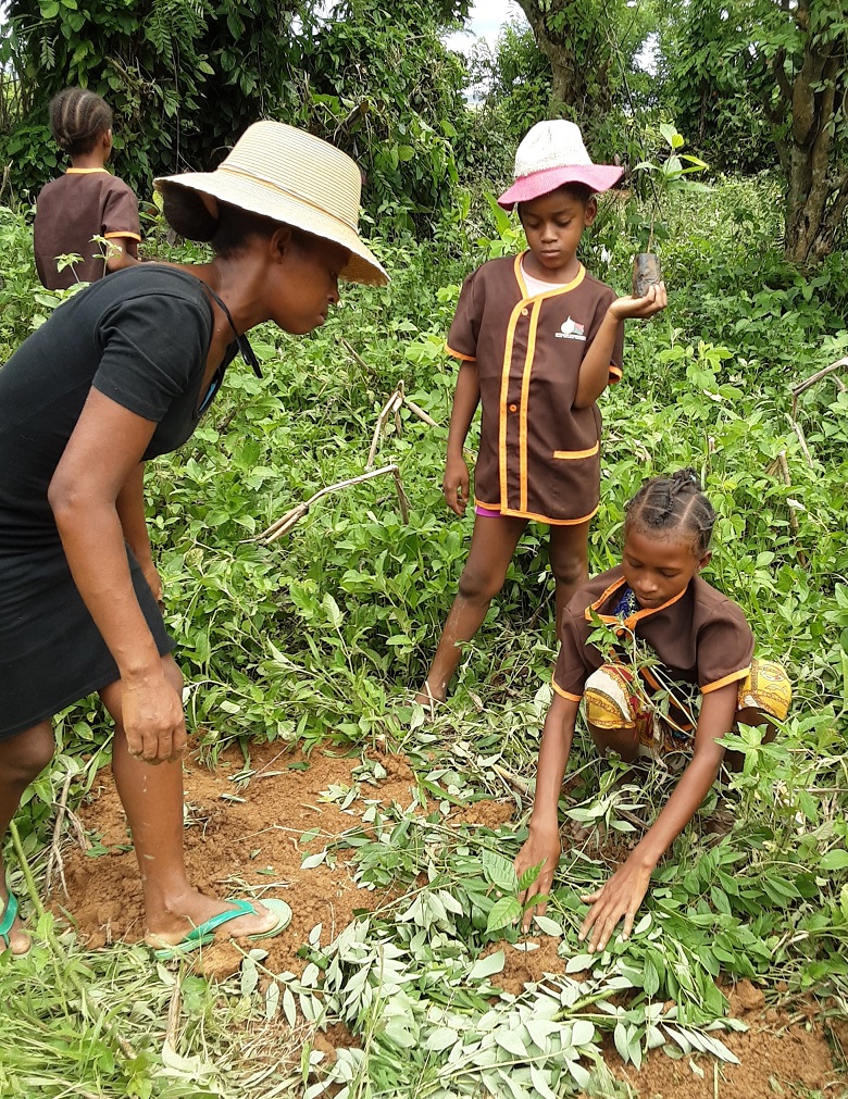 Plantation Ecole Primaier Publique