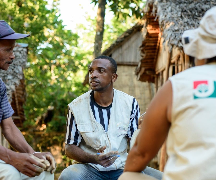 huile essentielle de Ravintsara de Madagascar