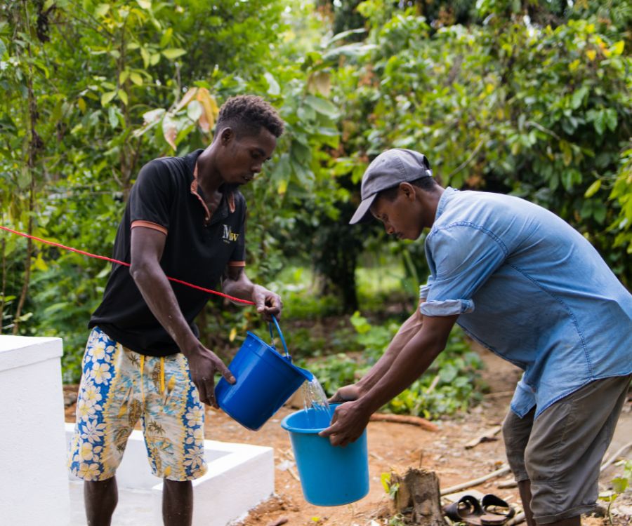 huile essentielle de Ravintsara de Madagascar